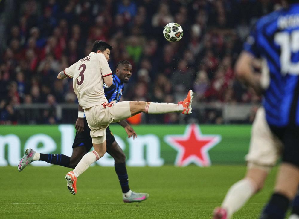 鲜明对比的 鲜明对比的